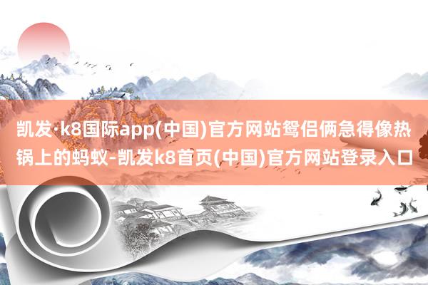 凯发·k8国际app(中国)官方网站鸳侣俩急得像热锅上的蚂蚁-凯发k8首页(中国)官方网站登录入口